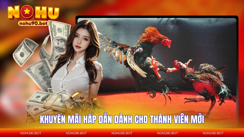 Khuyến mãi hấp dẫn dành cho thành viên mới